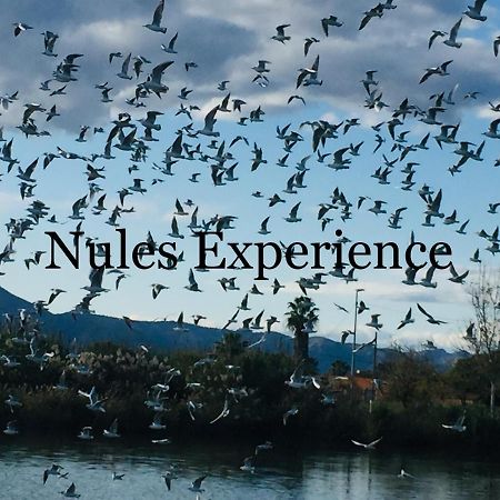Apartamento Nules Experience Mascarell Ngoại thất bức ảnh